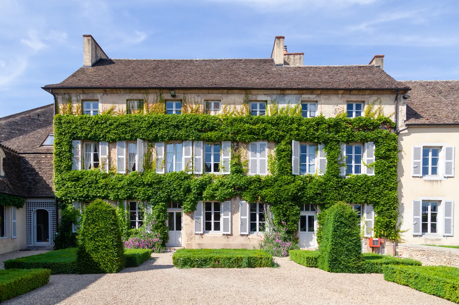 Entretien de haies, arbustes et plantes grimpantes